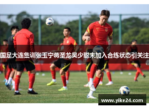 国足大连集训张玉宁蒋圣龙吴少聪未加入合练状态引关注