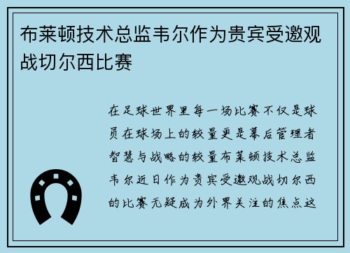 布莱顿技术总监韦尔作为贵宾受邀观战切尔西比赛